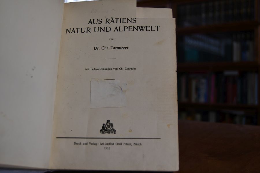 Aus Rätiens Natur und Alpenwelt.