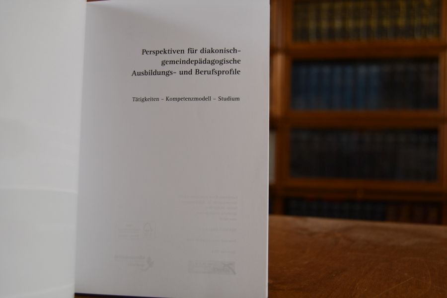 Perspektiven für diakonisch-gemeindepädagogische Ausbildungs- und Berufsprofile. Tätigkeiten - Kompetenzmodell - Studium.