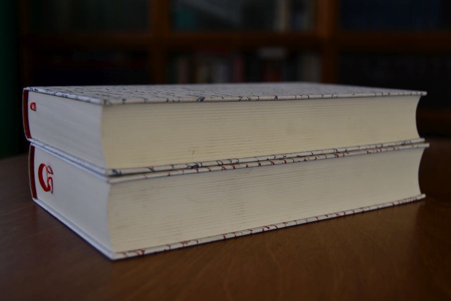 Freundschaftsbriefe I. 1801-1806 + II. 1807 bis 1829.
