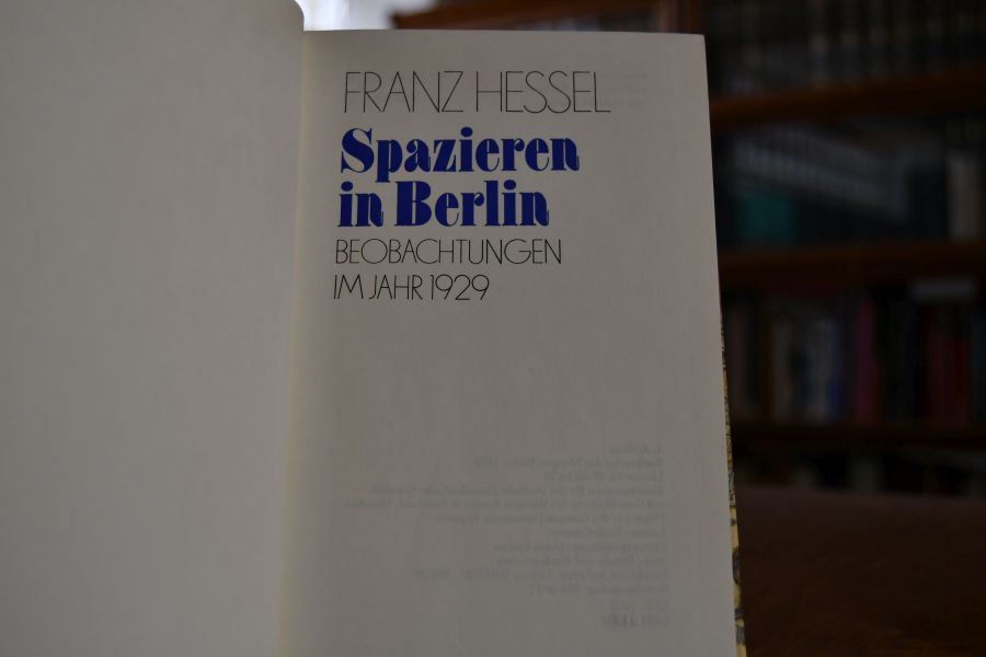 Spazieren in Berlin. Beobachtungen im Jahr 1929.