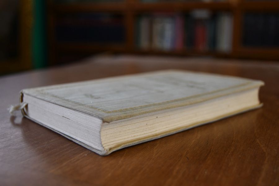 Frau Rat. Elisabeth Goethe, geb. Textor.