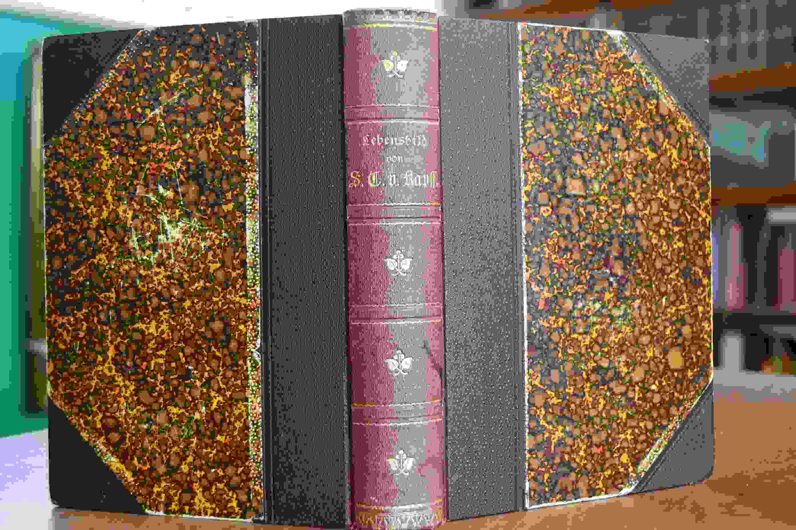 Lebensbild von Sixt Carl v. Kapff, Dr.theol., Prälat und Stiftsprediger in Stuttgart nach seinem schriftlichen Nachlaß entworfen. 2 Bde. in einem Band (komplett).