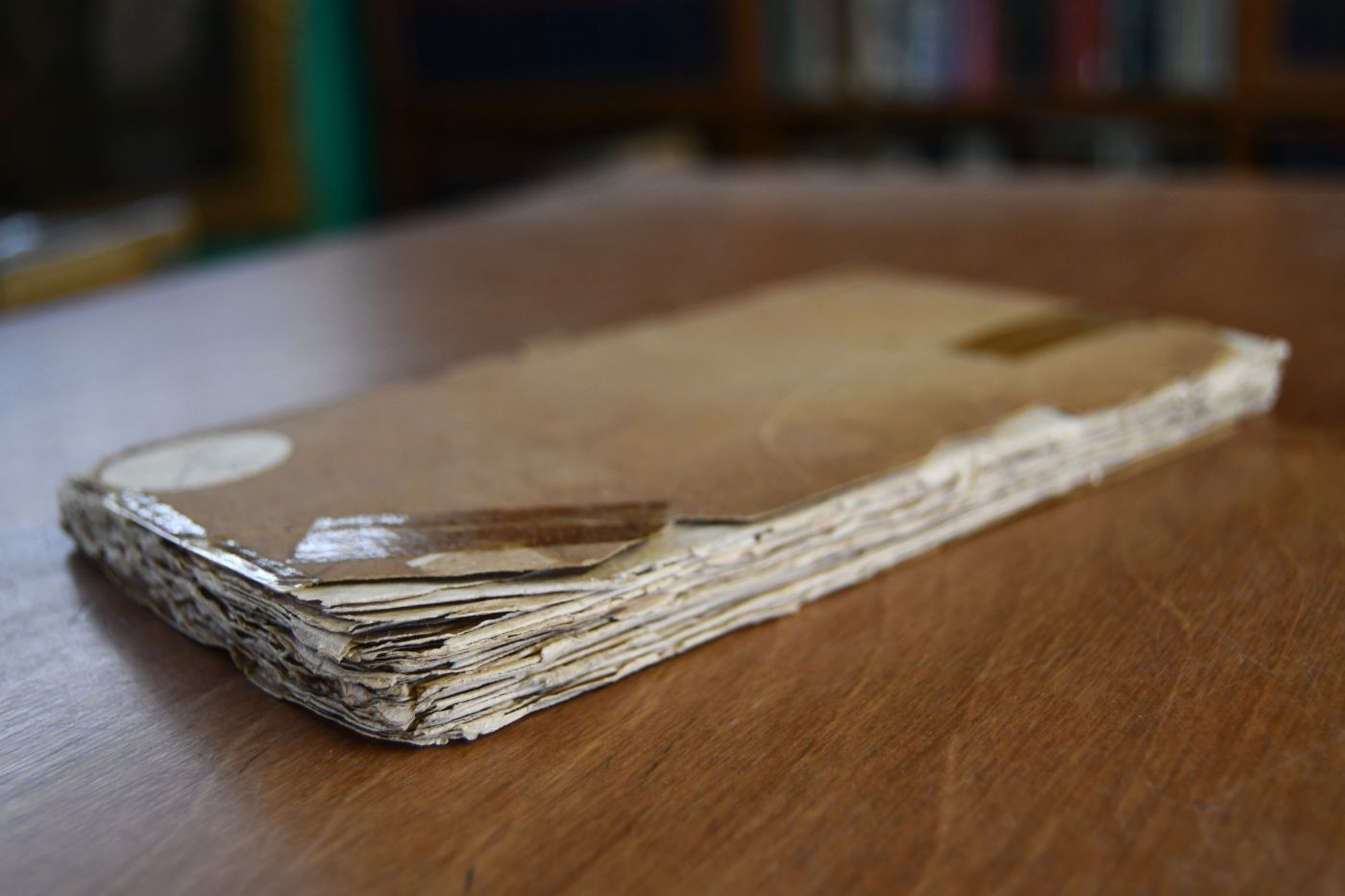 Gedanken über die Mittel eines Staates seine und seiner Gemeinheiten Schulden zu tilgen, die Staatsobligationen, und naderes zirkulierende Papiergeld in höhern Kurs zu bringen, und bald-möglichst einzulösen; sodann über die Möglichkeit mit Unterdrückung alles Geldes von Gold und Silber ein konventionelles Papiergeld in allen europäischen Staaten einzuführen, dessen Nutzen und Behandlung, damit solches im Inn- sowohl, als Auslande in seinem vollen Nennwerthe unabänderlich kursieren möge; nebst einem Nachtrage wie durch derselben unverweilten Ausführung die europäischen Staaten zur Führung des neuen Krieges mit Frankreich sich die nöthigen Geldmittel verschaffen können,