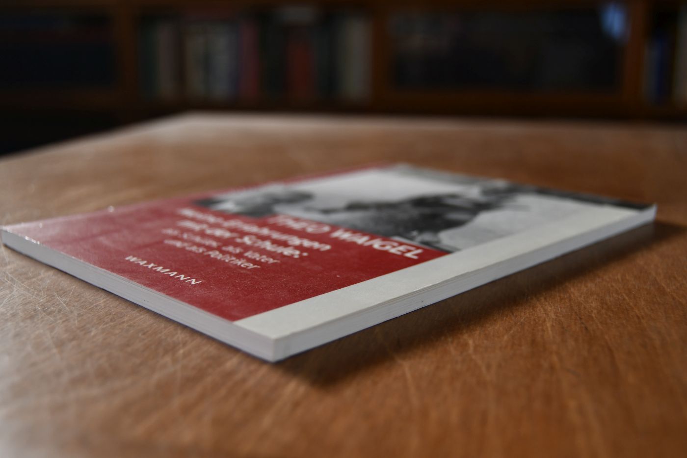 Meine Erfahrungen mit der Schule. Als Schüler, als Vater und als Politiker. Festvortrag anlässlich des zehnjährigen Bestehens des "Vereins der Freunde und Förderer des Bayerischen Schulmuseums Ichenhausen e.V." am 22. Juli 1999.
