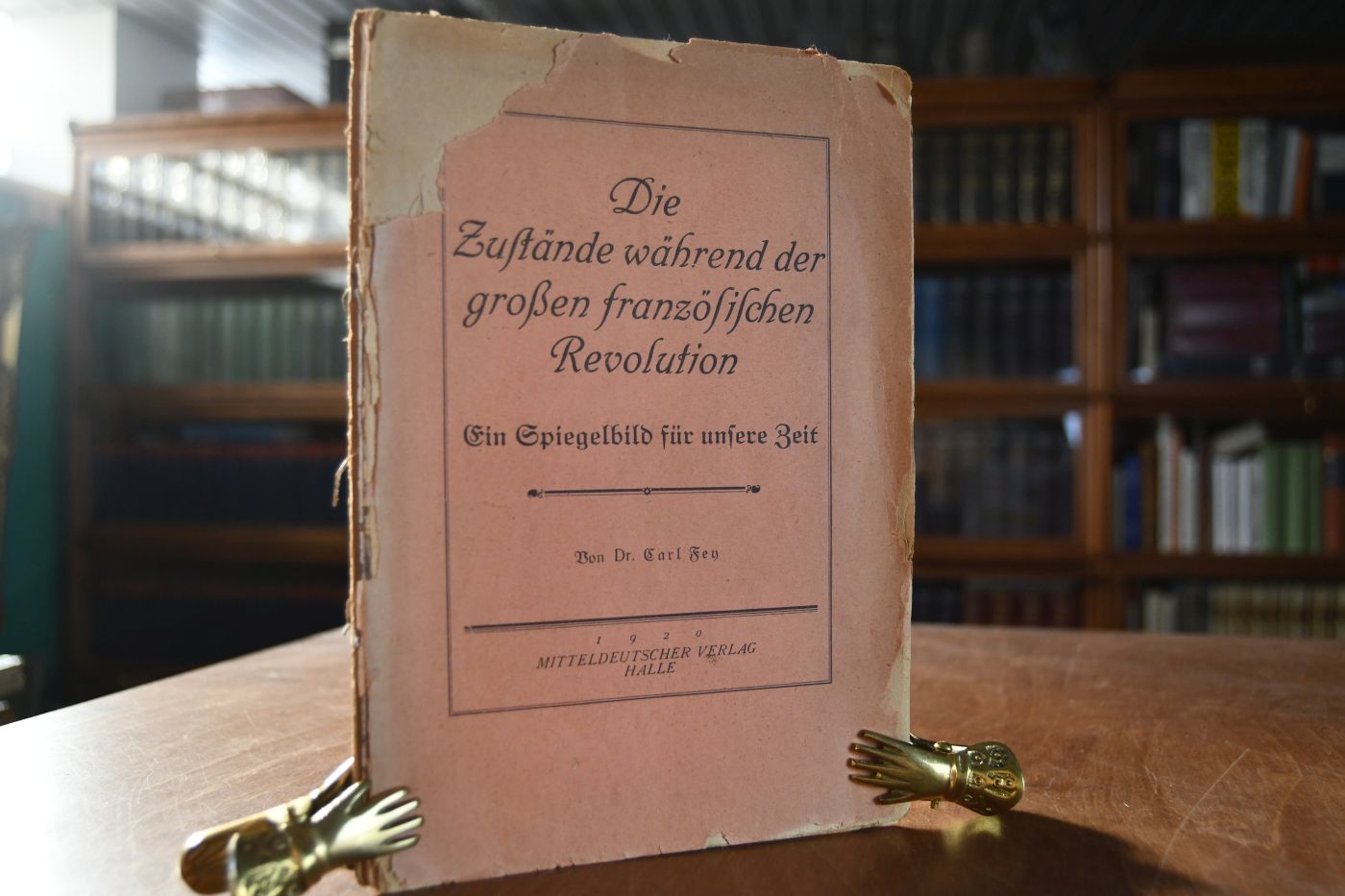 Die Zustände während der großen französischen Revolution. Ein Spiegelbild für unsere Zeit.