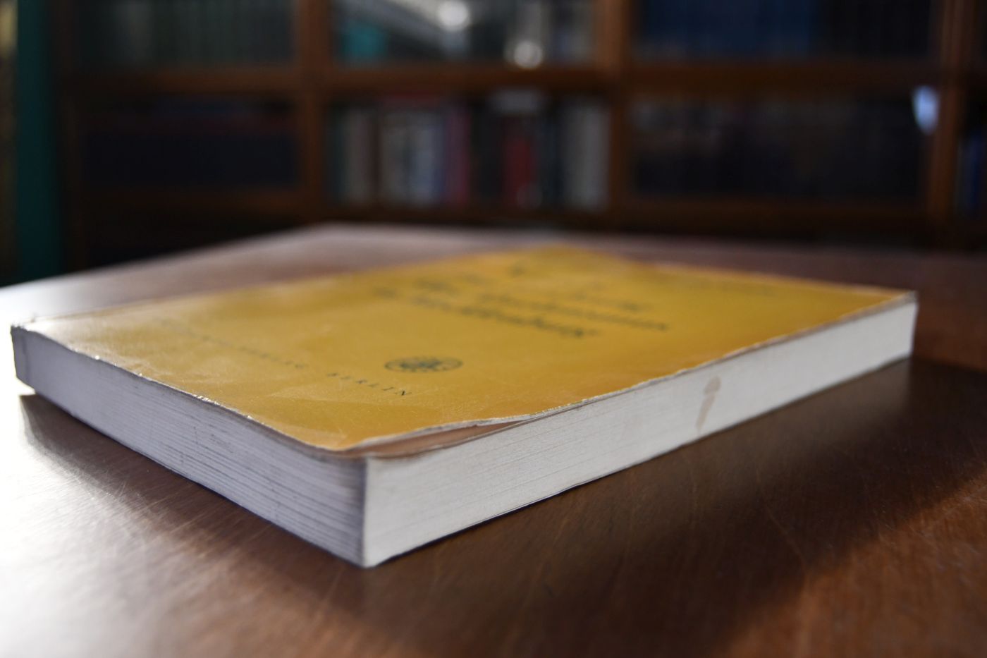Versuche zur Errichtung des Absolutismus in Mecklenburg in der ersten Hälfte des 18. Jahrhunderts. Ein Beitrag zur Geschichte des deutschen Territorialabsolutismus.