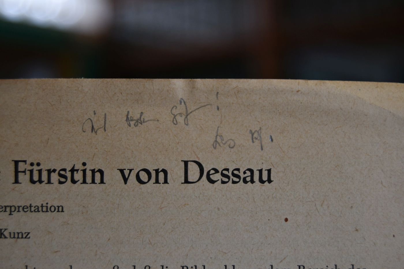 Hölderlins Ode an eine Fürstin von Dessau. Versuch einer Interpretation.