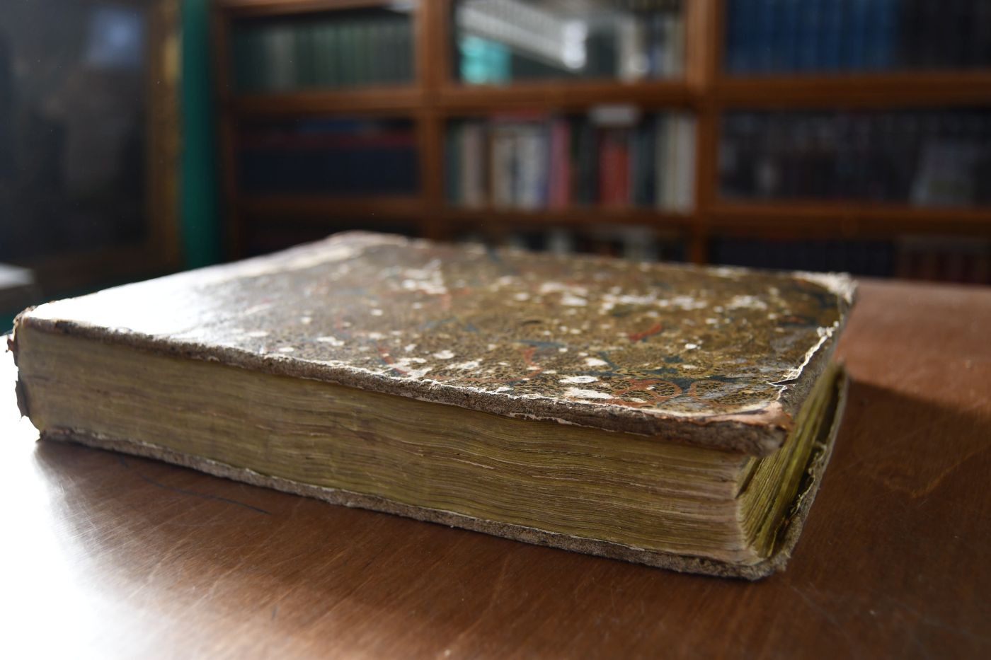 Naturgeschichte in Bildern mit erläuterndem Text. I. Lieferung Säugethiere. II. Lieferung Vögel. III. Lieferung Amphibien.