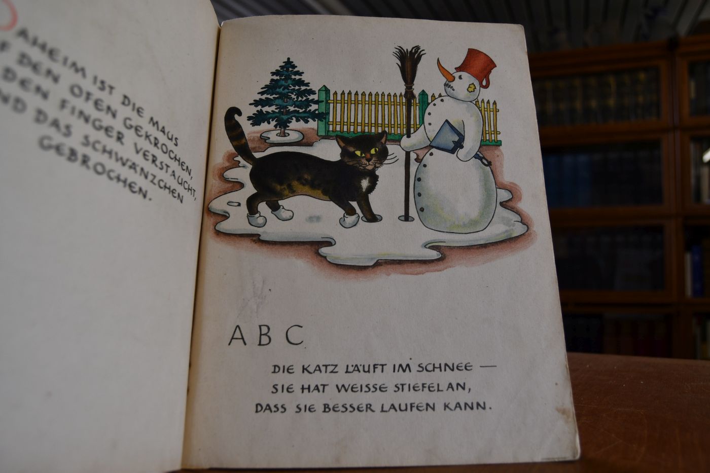 Zottelbär, wo kommt er her? Allerlei Kinderverse mit lustigen Bildern.