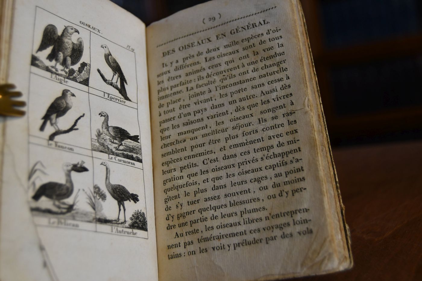 Alphabet du petit Naturaliste ou Notions elementaires sur l`Histoire naturelle suivi d`un vocabulaire des individus composant les trois regnes et du cri de tous les animaux.