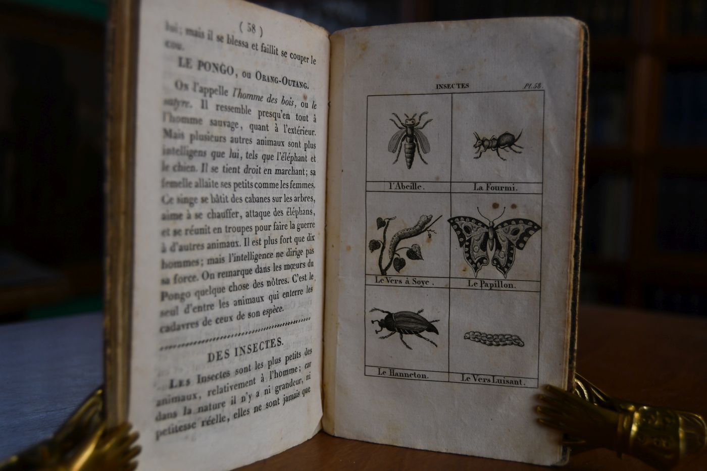 Alphabet du petit Naturaliste ou Notions elementaires sur l`Histoire naturelle suivi d`un vocabulaire des individus composant les trois regnes et du cri de tous les animaux.