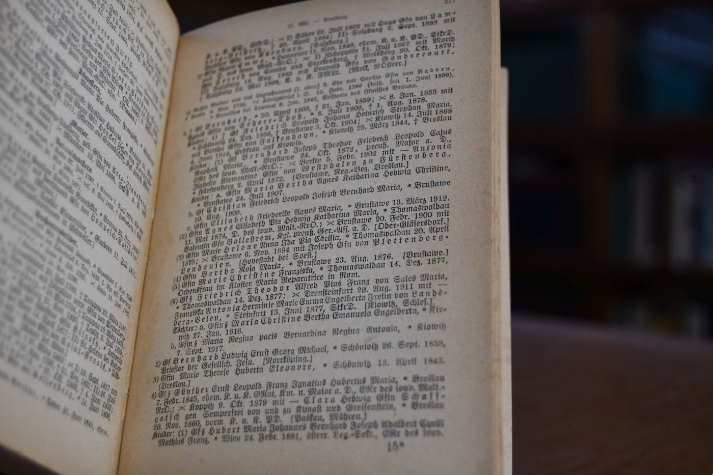 Gothaischer Kalender. Genealogischer Hofkalender und diplomatisch-statistisches Jahrbuch 1920. 157. Jahrgang.