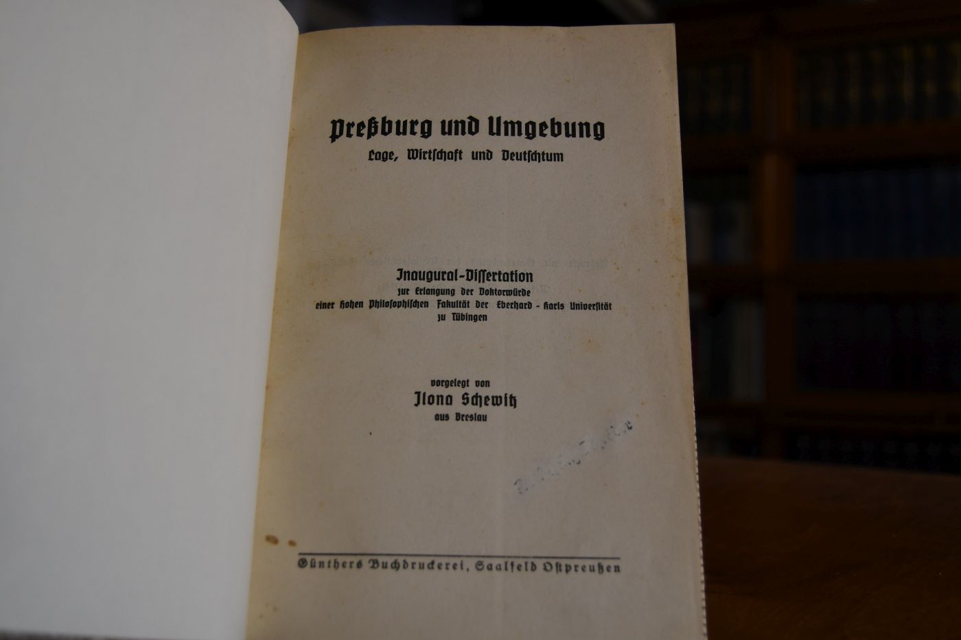 Preßburg und Umgebung. Lage, Wirtschaft und Deutschtum.