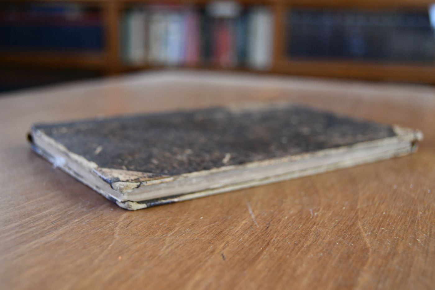 Sammlung von Gestüts-Brandzeichen der Staats- und Privat-Gestüte Europas und des Orients.
