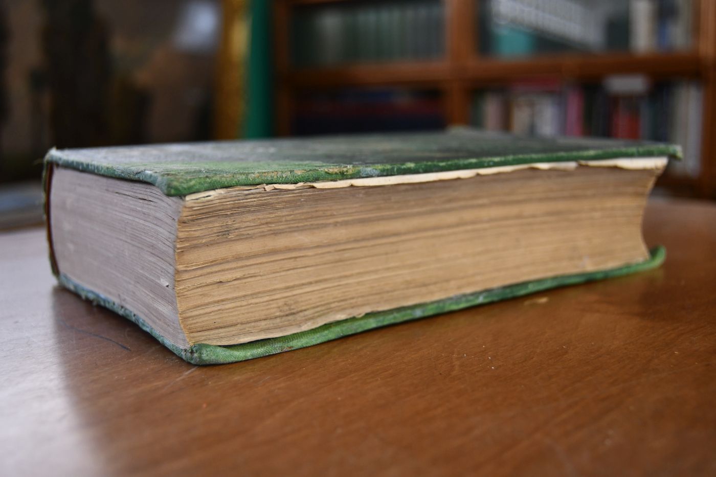 Every Horse Owners` Cyclopedia.