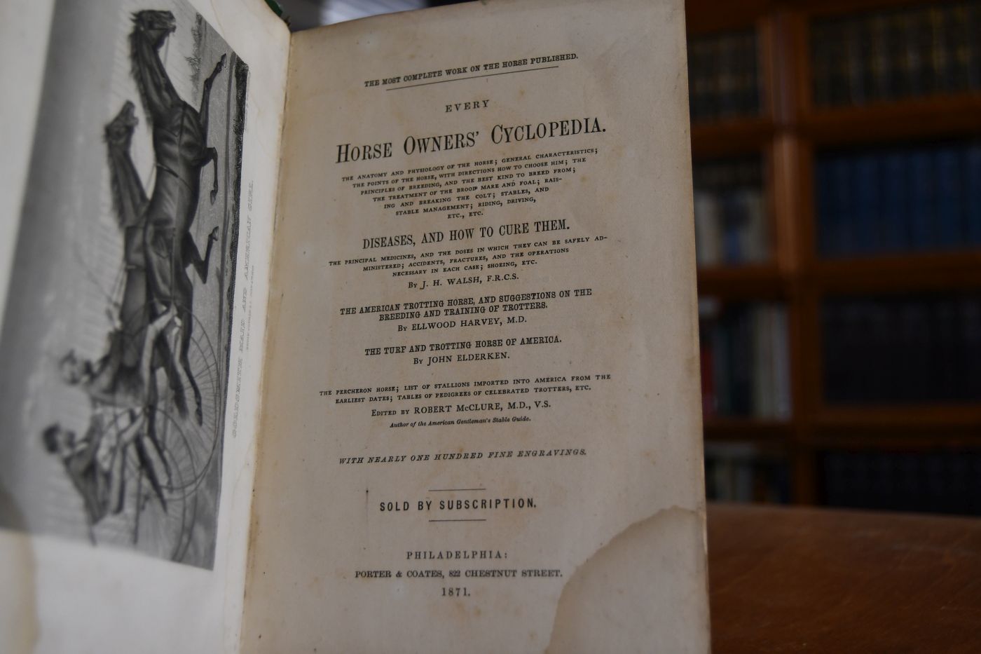 Every Horse Owners` Cyclopedia.