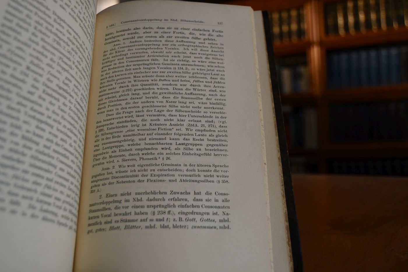 Deutsche Grammatik. Gotisch, Alt-, Mittel- und Neuhochdeutsch. Bd. 1 (von 3) Erste Abteilung Lautlehre.