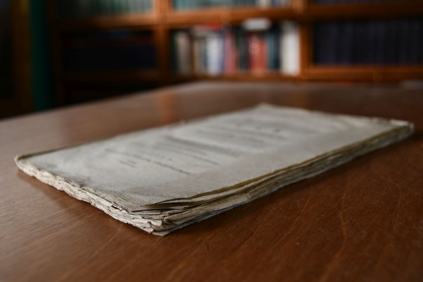 Some remarks on the apparent circumstances of the war in the fourth week of October 1795.