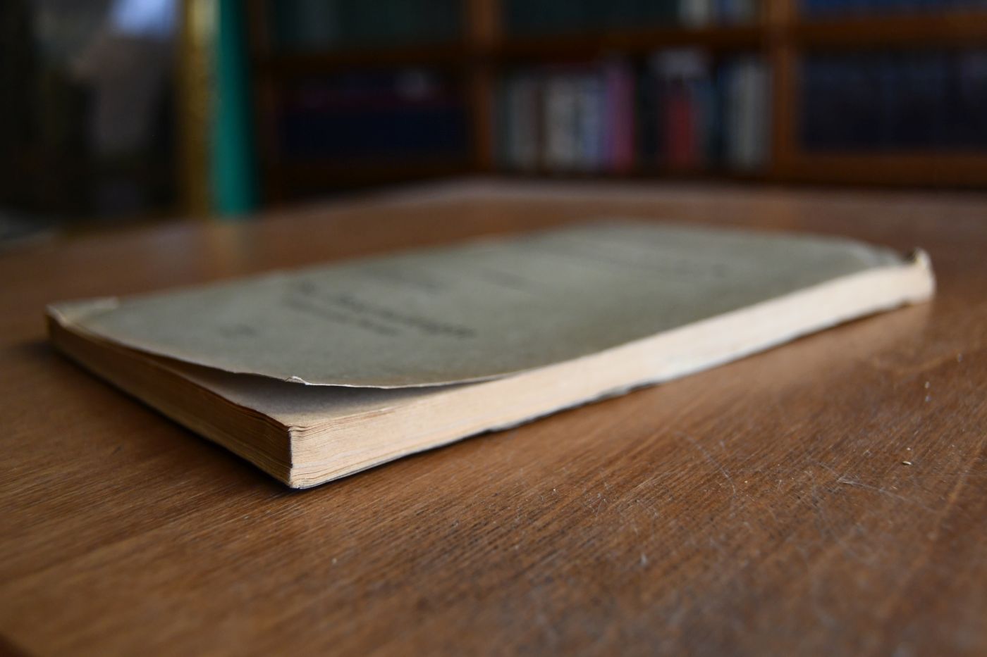 Der Beschuldigte (Strafprozessuale Beiträge).