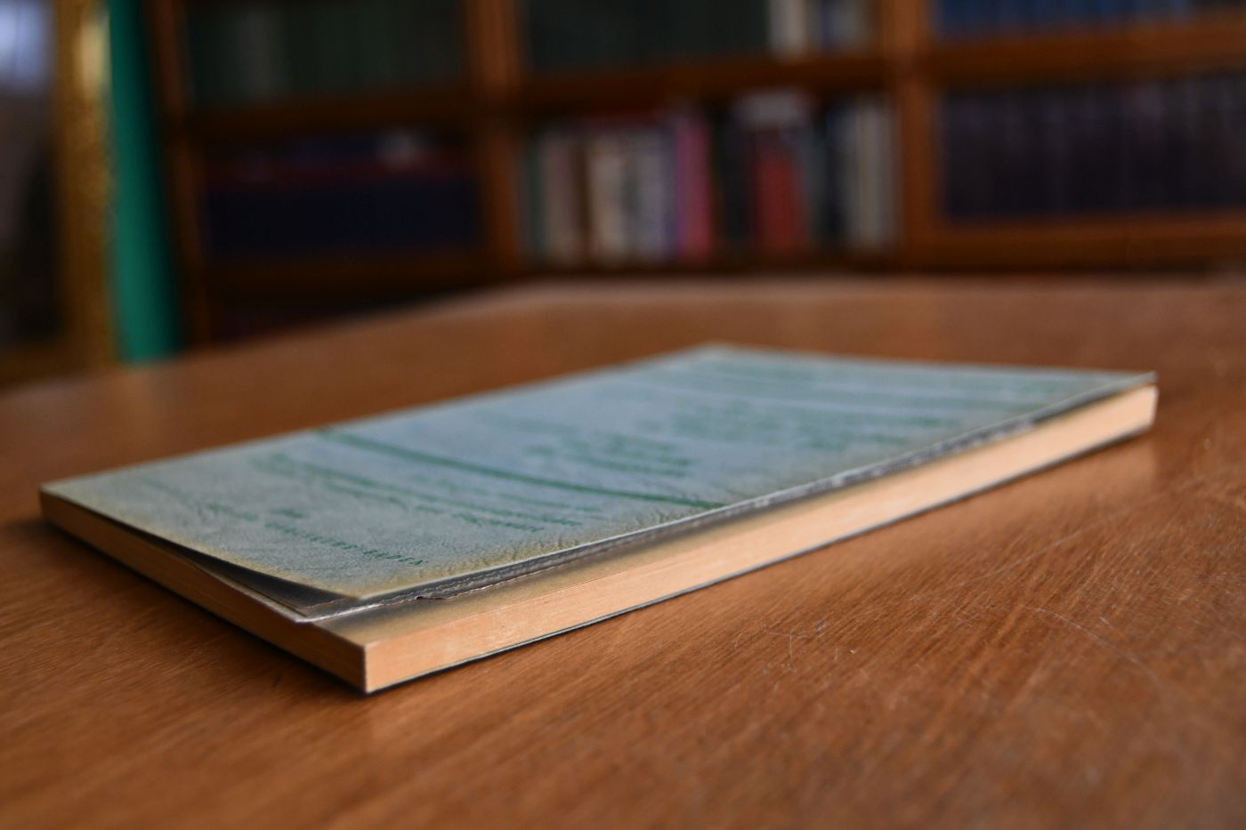 Die verfassungsmäßige Sicherung staatsbürgerlicher Freiheiten im Wandel der Zeiten. Ursprung und Sicherung der Grundrechte.