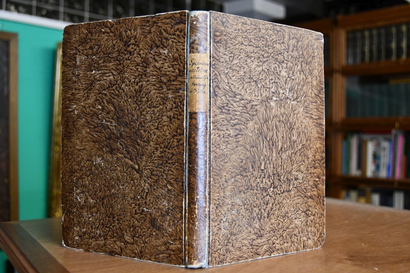 Speculum Ecclesiae.