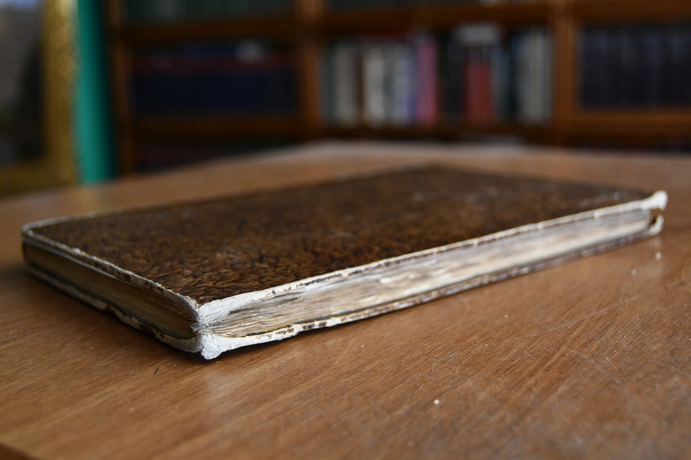 Speculum Ecclesiae.