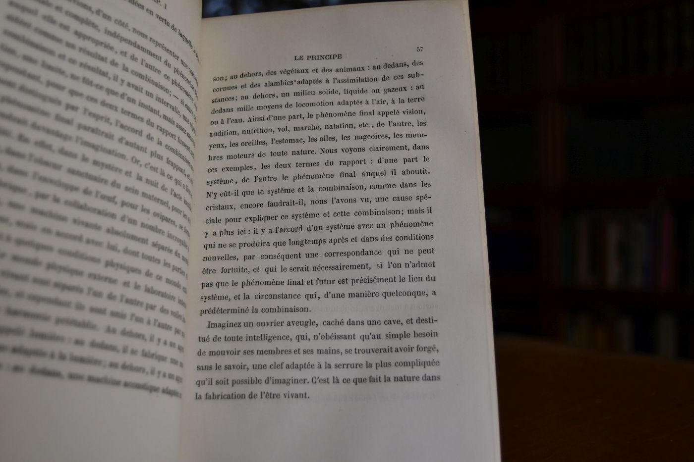 Les causes finales.