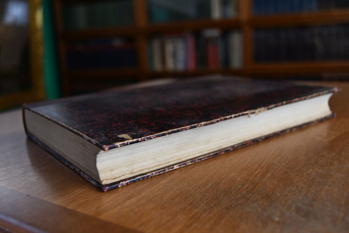 Die Binnenschiffahrt. Ein Handbuch für alle Beteiligten. Zweiter Band (apart).