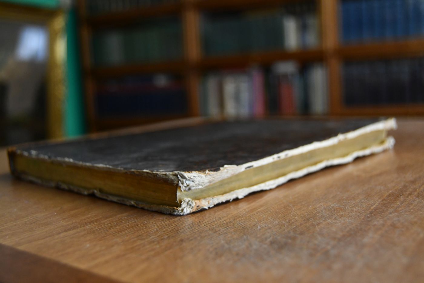 Elementa Eclipsium quas patitur tellus, luna eam inter et solem versante, ab A. 1816 usque ad A. 1860, ex tabulisastronomicis recentissime conditis et calculo parallactico deducta, typo ecliptico et tabulis projektionis geographicis collustrata.
