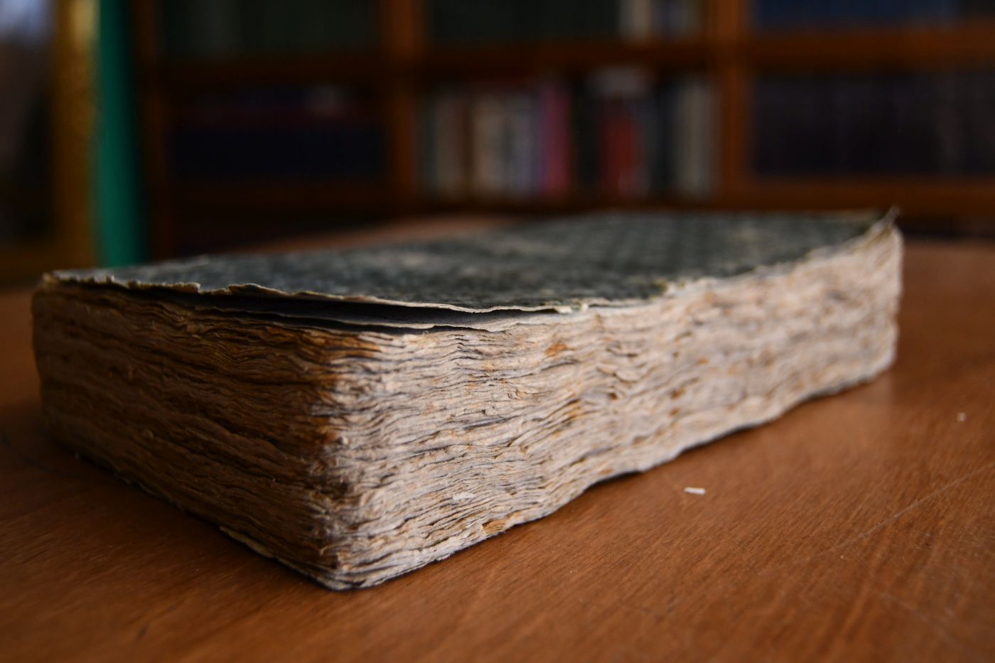 Forstbotanik oder vollständige Naturgeschichte der deutschen Holzpflanzen und einiger fremden. Zur Belehrung für Oberförster, Förster und Forstgehülfen. Zweyter Theil (apart).