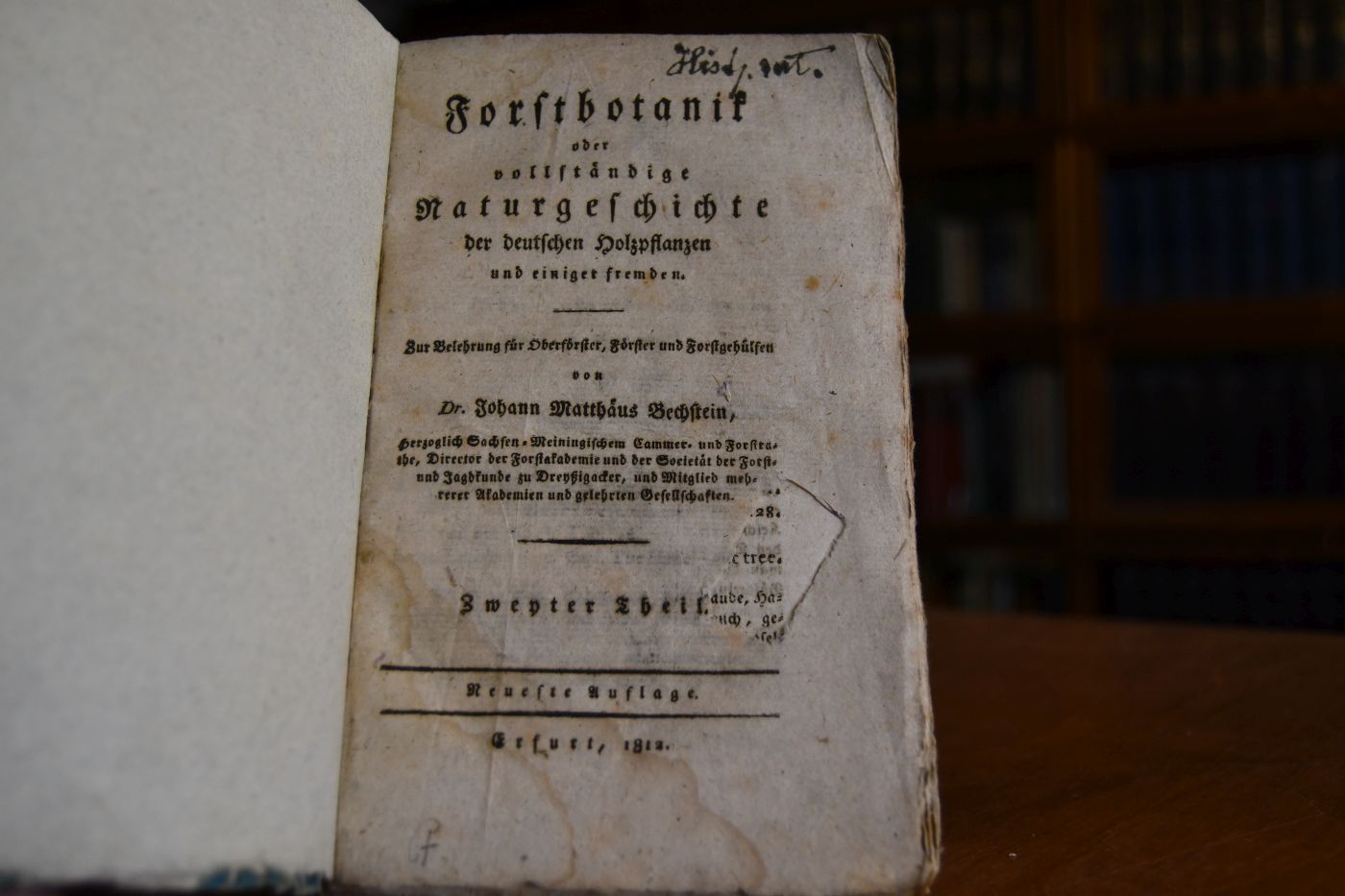 Forstbotanik oder vollständige Naturgeschichte der deutschen Holzpflanzen und einiger fremden. Zur Belehrung für Oberförster, Förster und Forstgehülfen. Zweyter Theil (apart).