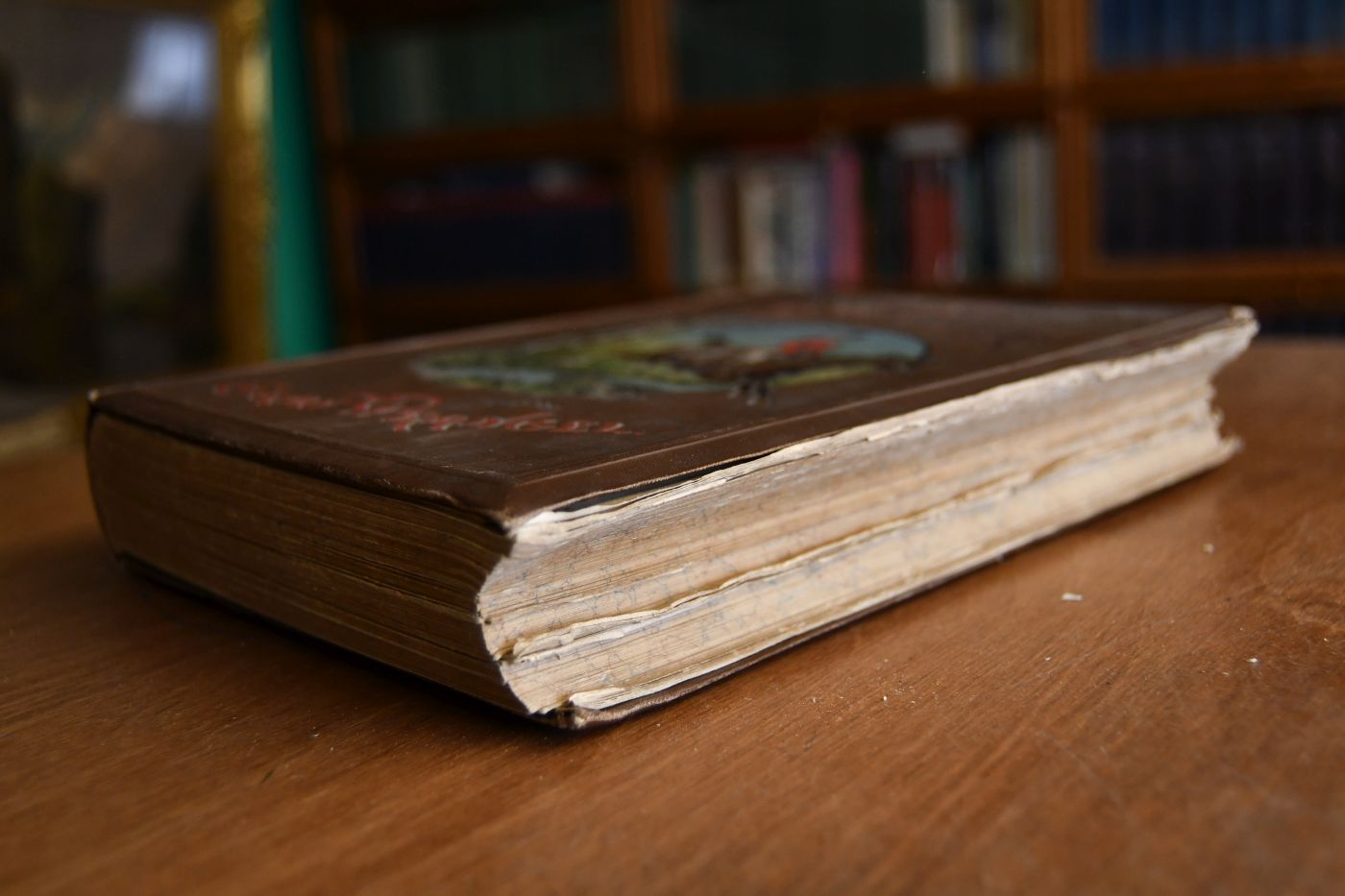 Das Buch vom Pferde. Ein Handbuch für jeden Besitzer und Liebhaber von Pferden. Erster Teil (apart).