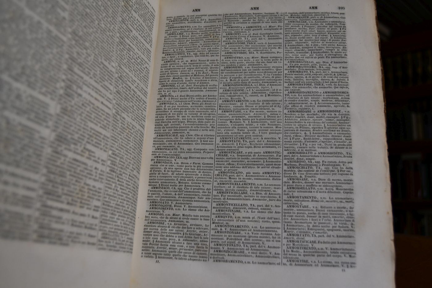 Il Nuovo Alberti. Dizionario Enciclopedico Italiano-Francese compilato dietro la scorta de` migliori e piu accrediatati lessici contente un sunto di grammatica ad uso de francesi ed un dizionario universale di geografia etc.