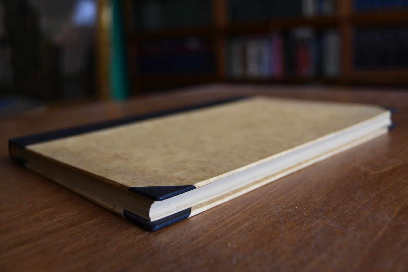 Das Grundbuch von Dirschau.