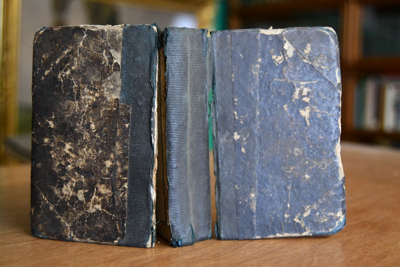 Taschen-Fremdwörterbuch oder Verdeutschung von mehr als 16,000 Fremdwörtern Ein unentbehrliches Handbuch für Zeitungsleser, für der Schiffsprache Unkundige und Alle, welche sich mit den englischen Ausdrücken vertraut machen wollen, die, unter den Deutschen in Nord-Amerika gangbar, dem Auswanderer zu wissen nöthig sind.