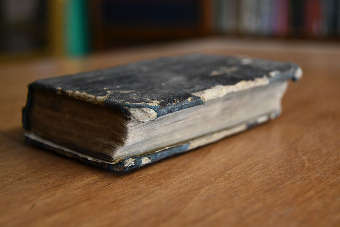 Taschen-Fremdwörterbuch oder Verdeutschung von mehr als 16,000 Fremdwörtern Ein unentbehrliches Handbuch für Zeitungsleser, für der Schiffsprache Unkundige und Alle, welche sich mit den englischen Ausdrücken vertraut machen wollen, die, unter den Deutschen in Nord-Amerika gangbar, dem Auswanderer zu wissen nöthig sind.