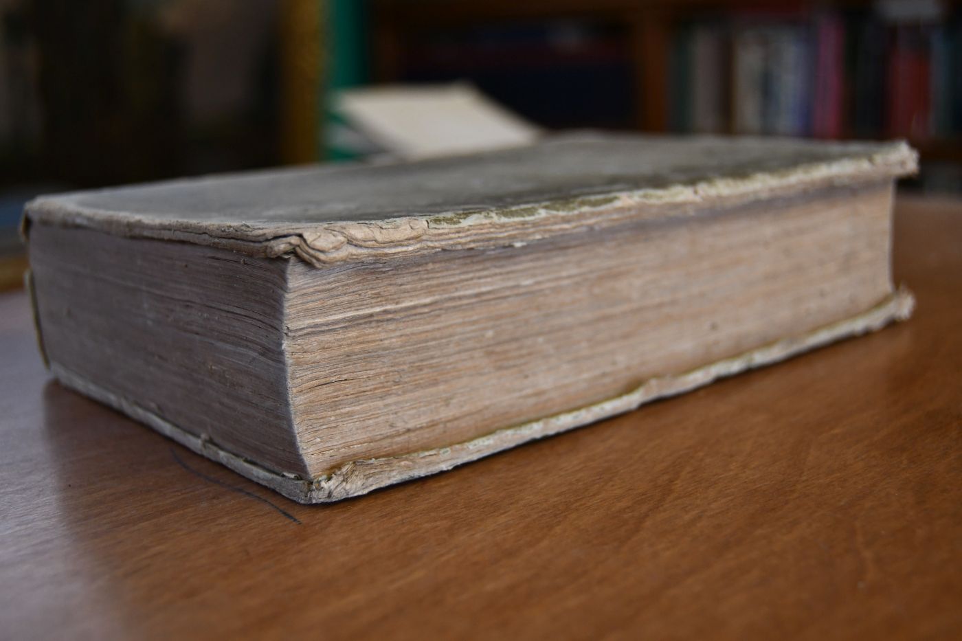 Meister Franz Rabelais der Arzeney Doctoren Gargantua und Pantagruel aus dem Französischen verdeutscht, mit Einleitung und Anmerkungen, den Varianten des zweyten Buchs von 1533, auch einem noch unbekannten Gargantua herausgegeben durch Gottlob Regis. Erster Theil (von 2) apart.