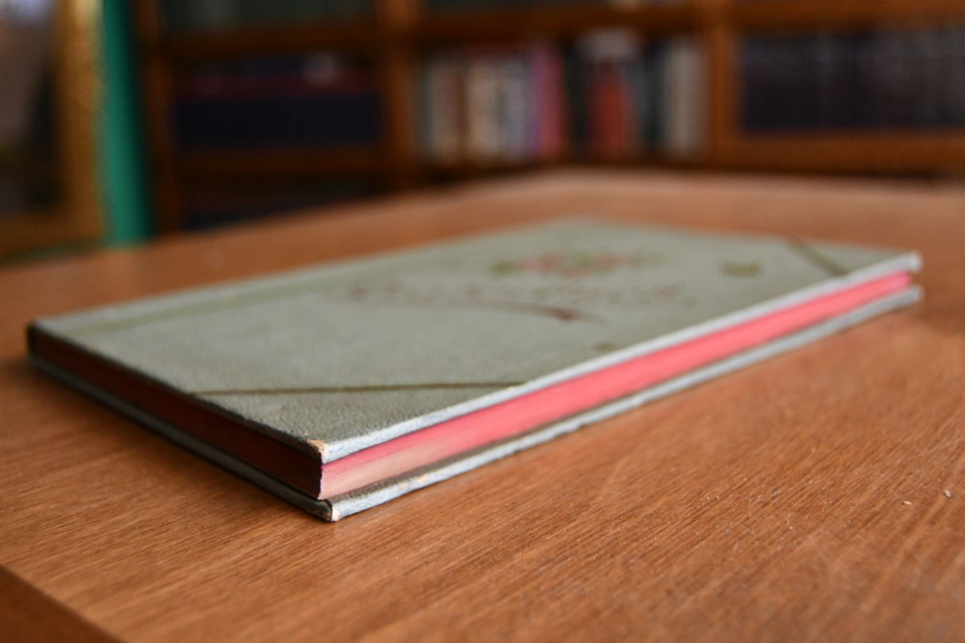 Praterbuch.