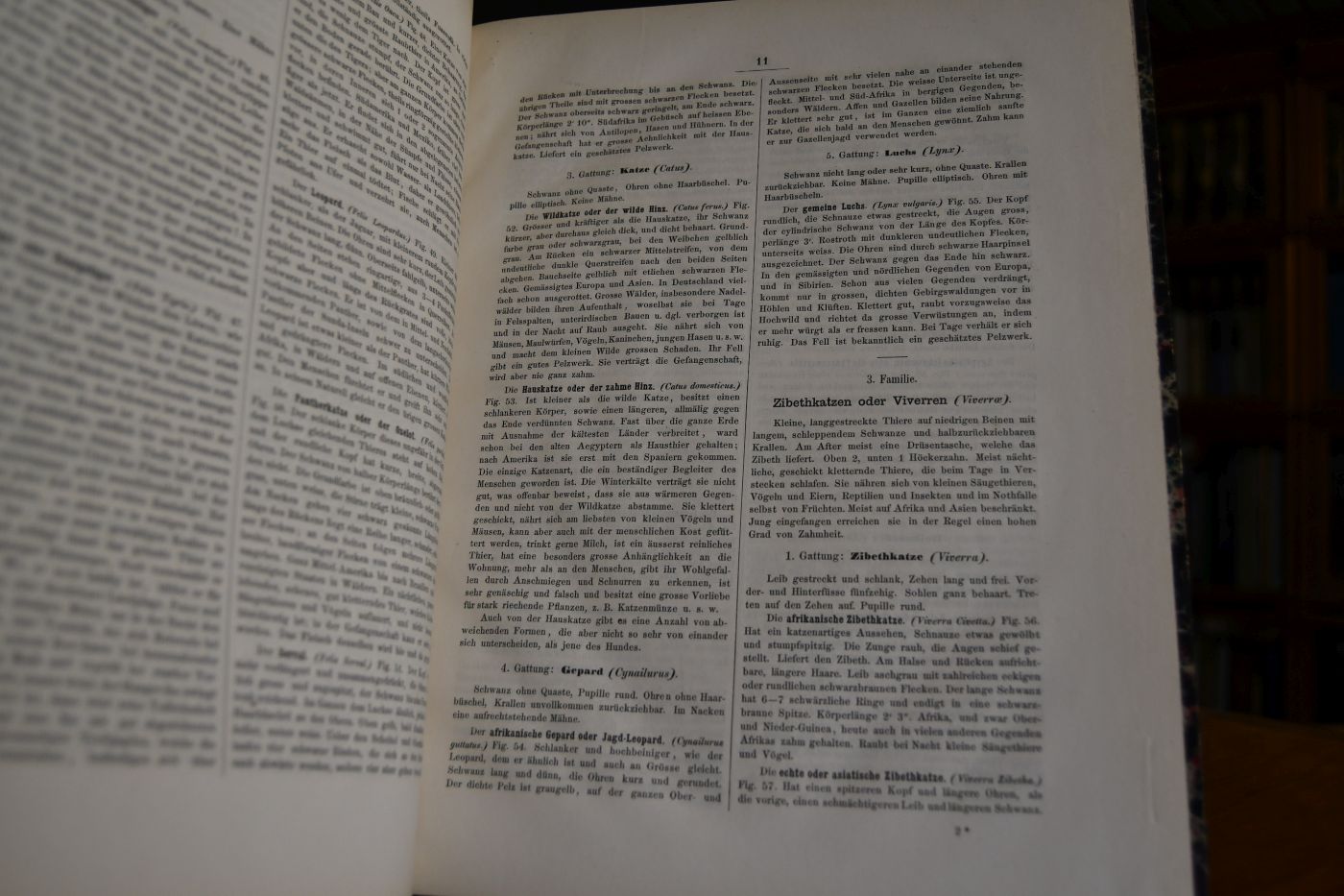 Bilder-Atlas zur wissenschaftlich-populären Naturgeschichte der Wirbelthiere von Leopold Joseph Fitzinger. Kurzer erläuternder Text dazu.