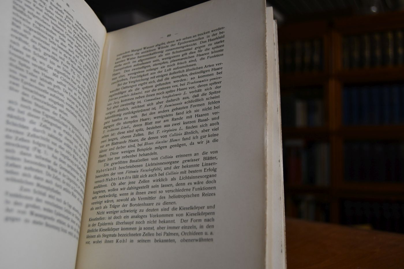 Wiesner-Festschrift.