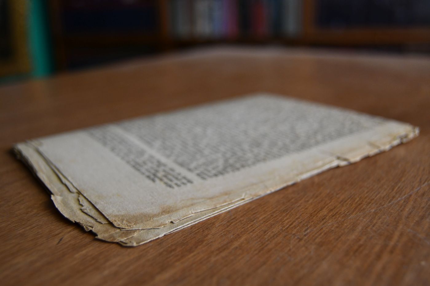 Die Productivgenossenschaft und ihre Bedeutung für die Lösung der sozialen Frage. Vortrag, gehalten im Humboldt-Verein für Volksbildung am Sonntag, den 23. Februar 1873.