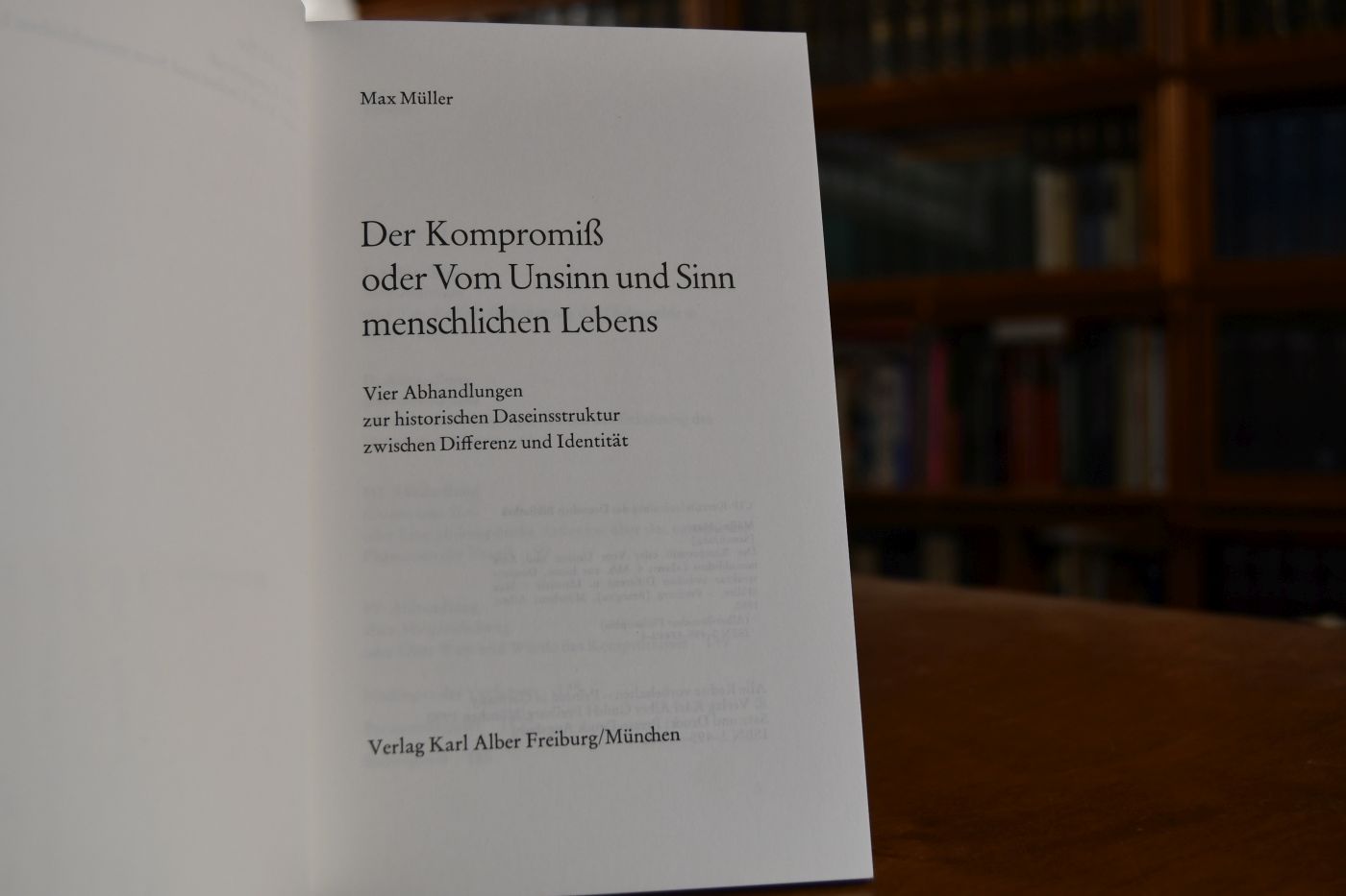 Der Kompromiss oder vom Unsinn und Sinn menschlichen Lebens. Vier Abhandlungen zur historischen Daseinsstruktur zwischen Differenz und Identität.