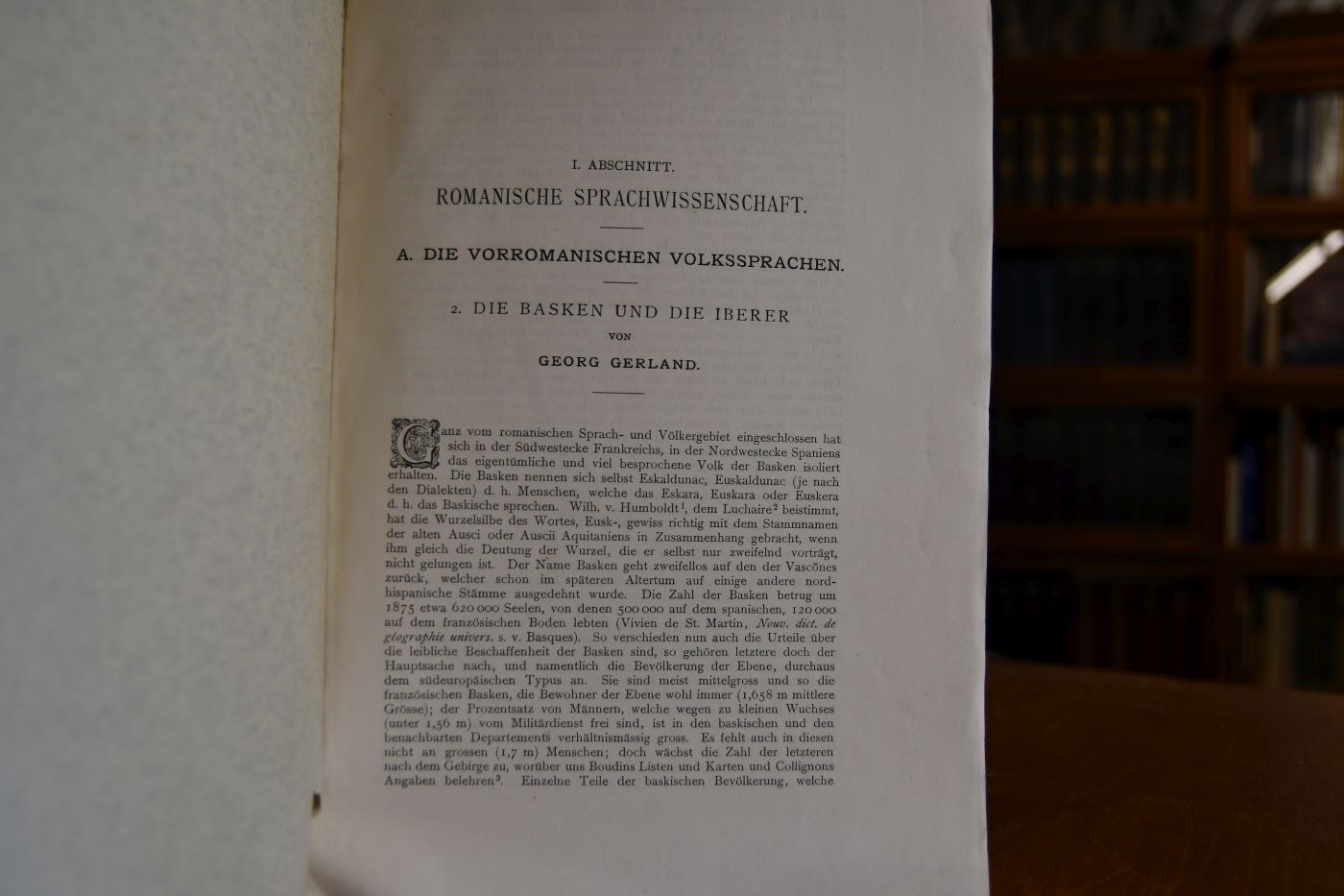 Die Basken die Iberer.