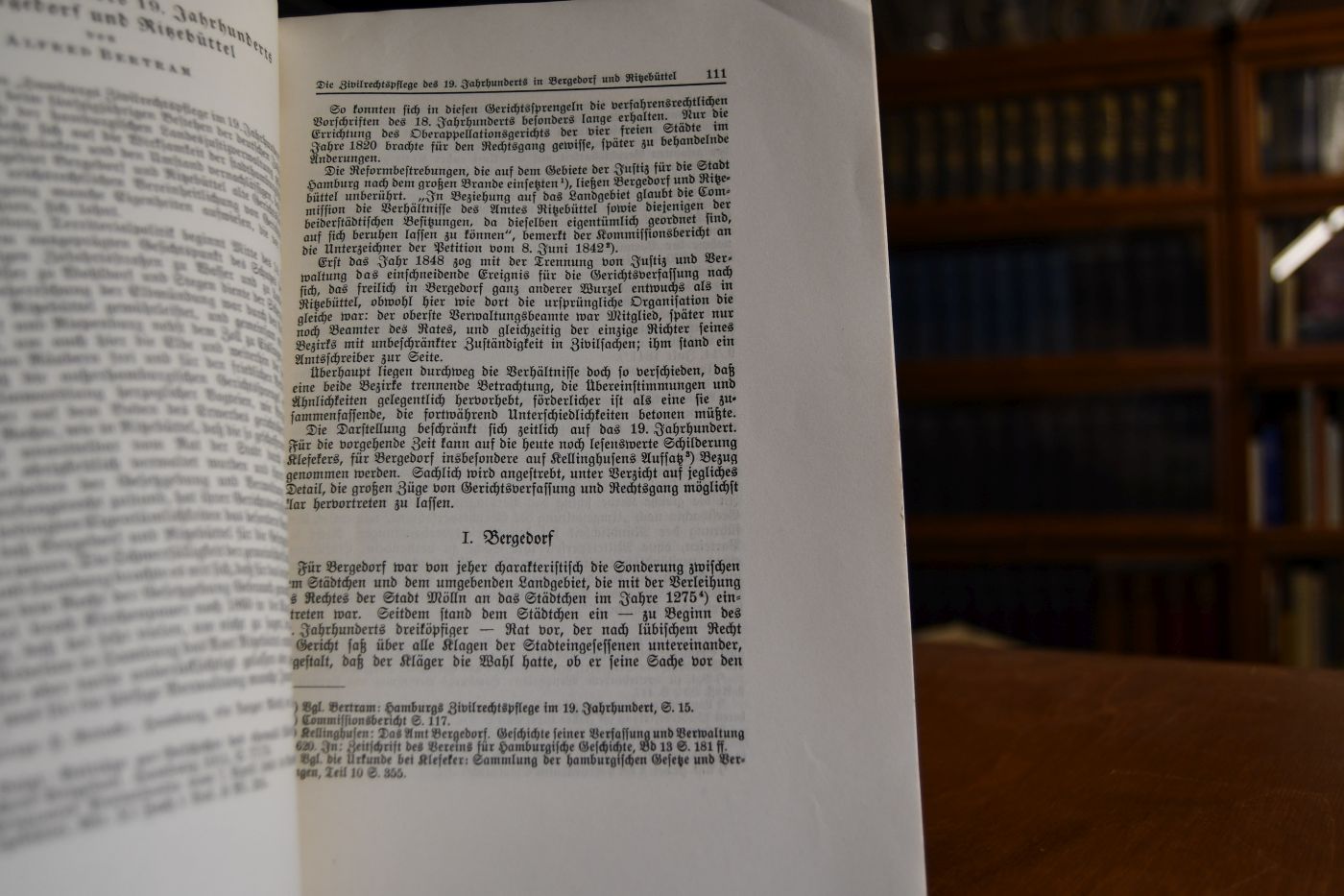 Die Zivilrechtspflege des 19. Jahrhunderts in Bergedorf und Ritzebüttel.