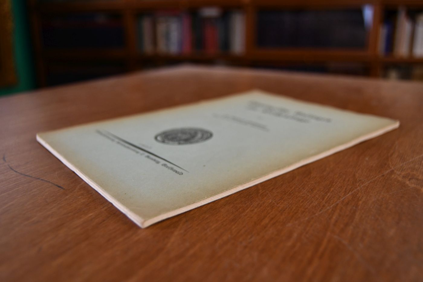 Theologische Anliegen zur Kirchenfrage