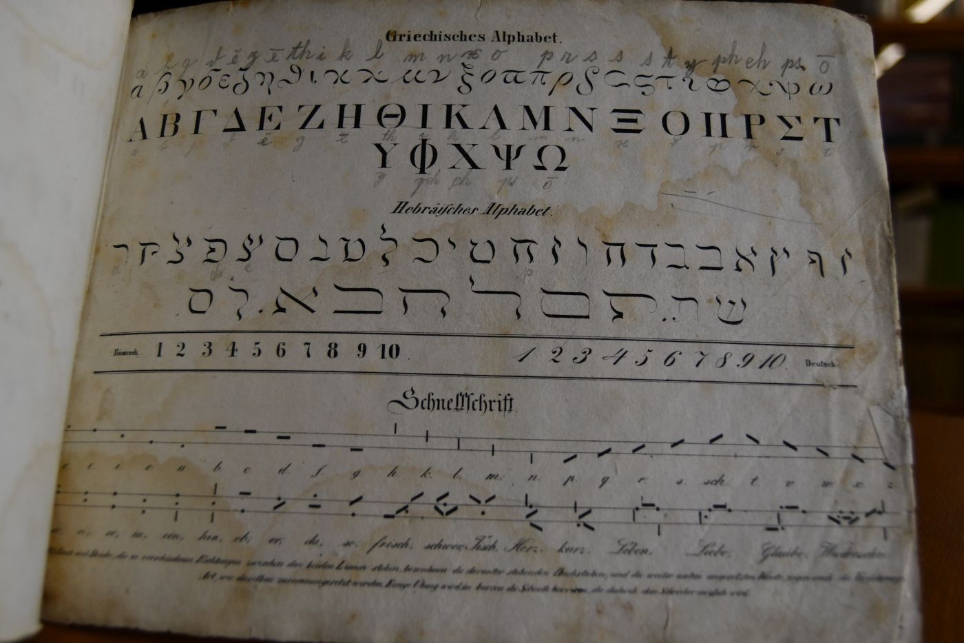 12 Vorschriften bestehend in Alphabeten und Uebungen in den bekannten alten und neuen Schriftarten.