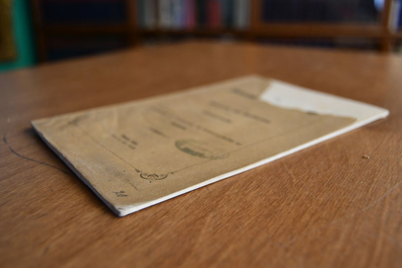 Die Bedeutung der Savoyerfrage. Zur Belehrung und Aufklärung des Schweizervolks.