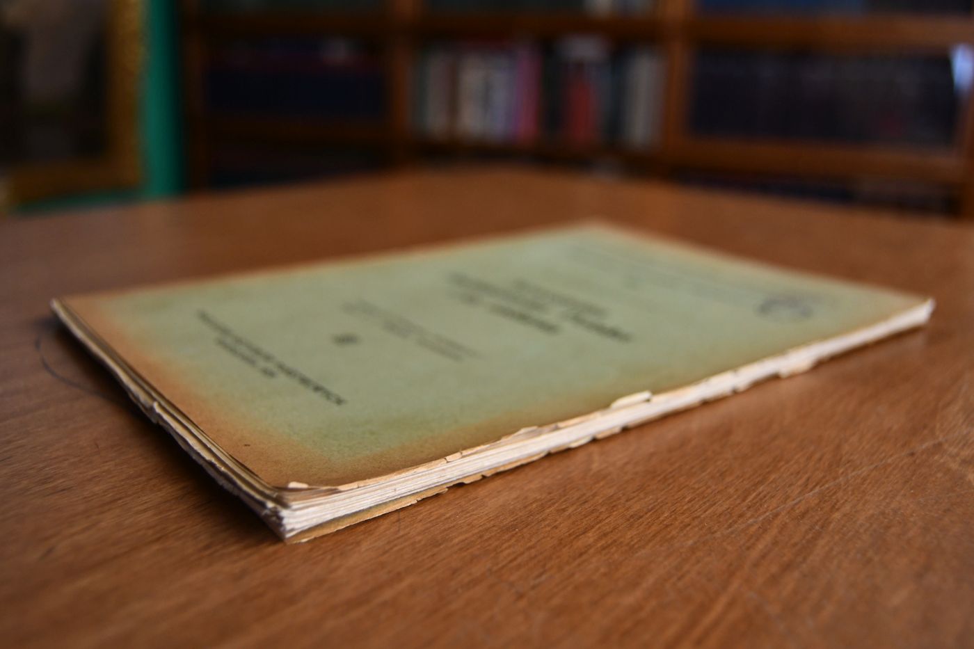 Nowozytna archiwistyka polska i jej zadania. (Die moderne polnische Archivistik und ihre Aufgaben.)