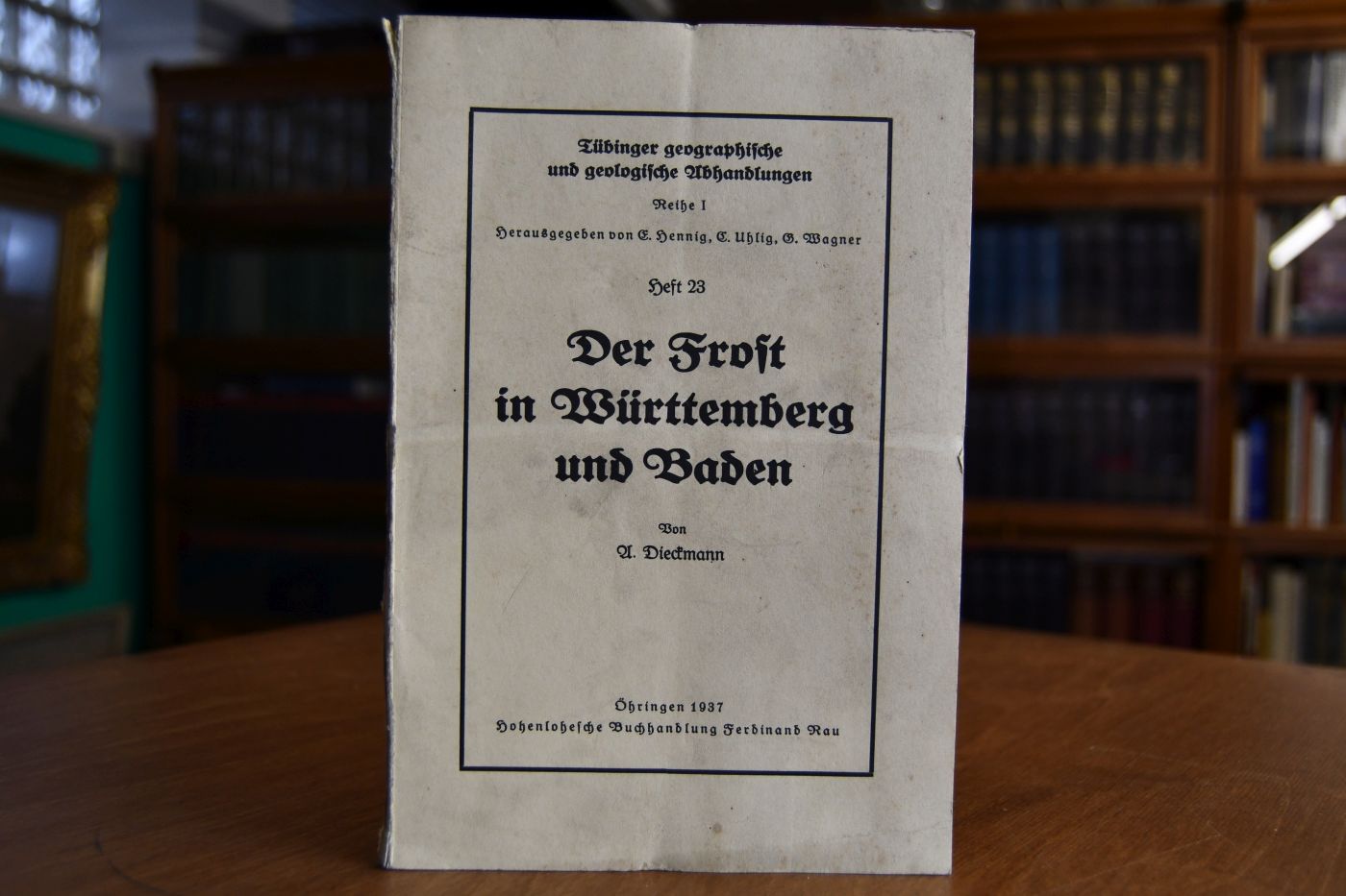 Der Frost in Württemberg und Baden.
