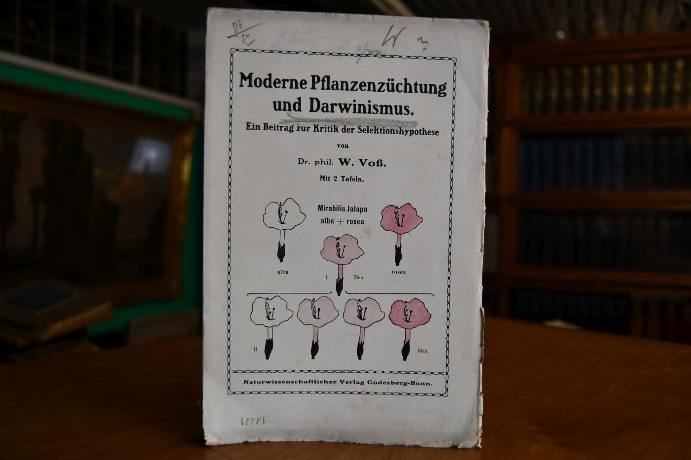 Moderne Pflanzenzüchtung und Darwinismus. Ein Beitrag zur Kritik der Selektionshypothese.